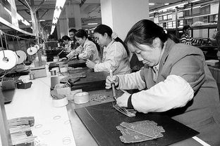 深圳就业指南 七号发工资的工厂与急招岗位解析
